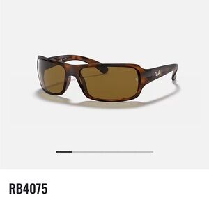 Ray-Ban tortoise sunglasses